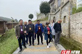 新邵县寸石镇：人大政协调研乡村旅游图片