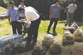 濒危动物上餐桌——一起命案牵出的买卖野生动物大案图片