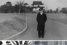 彼时，此刻，风景大不同图片