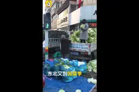 东北大娘雇车囤300斤白菜，菜农称有人最多买千斤，网友：南方人目瞪口呆图片