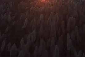 奇特的游移湖——戈壁深处居延海图片