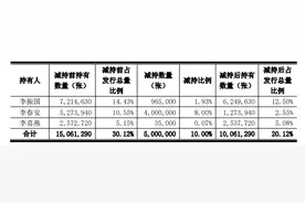 减持为降热度？光伏龙头隆基股份大股东再抛500万张可转债图片