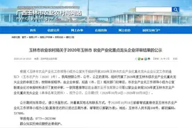公示啦！玉林这12家企业即将成为“重点龙头企业”，看看你认识几家？图片