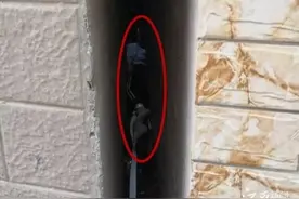 紧急救援！7岁小孩被卡墙缝，救援人员成功救出图片