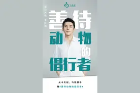 李佳琦向它基金捐款100万元 以新身份“爱它大使”投身动物保护图片