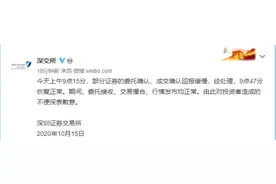 深交所致歉：上午证券委托成交确认回报缓慢，32分钟后恢复图片