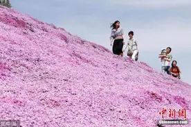 日本都道府县魅力排行榜出炉 北海道连续12年居榜首图片