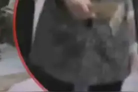 女孩未完成作业被爸爸拿戒尺打视频封面