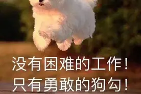 早报超有料丨《风平浪静》人物海报上演“眼神杀”王源秋日森系大片尽显慵懒文艺图片