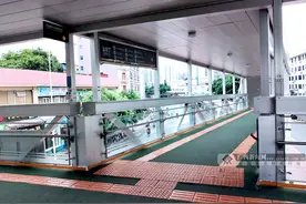关注盲人的世界：他们看不见我们，但我们应看见他们图片