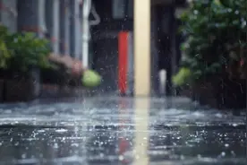 老伴被弄湿衣物，晨练大爷上前理论猝死在虹口足球场！法院：死者一方承担主要责任图片