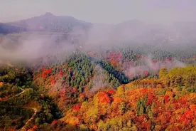 2020洛阳秋季赏叶指南！12处赏秋地，什么时候看、怎么看，这里统统有！图片