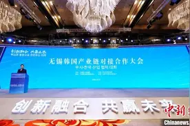 江苏无锡擦亮“韩资板块”招牌 与韩国产业界合作再升级图片