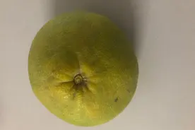 秋天的第一个柚子是什么梗 秋天的第一颗柚子怎么剥 爱心柚子教程图片