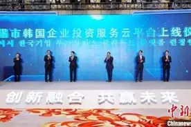 江苏无锡擦亮“韩资板块”招牌 与韩国产业界合作再升级图片