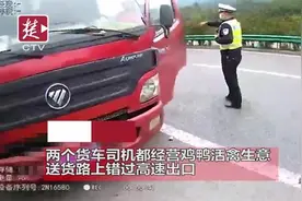 奇葩司机，高速应急车道上违停交易鸡鸭活禽图片