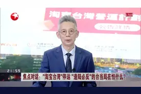 “淘宝台湾”停运  “逢陆必反”的台当局在怕什么？  民进党当局通过伤害台湾以实现政治目的视频封面