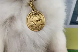 @里水铲屎官，南海区养犬管理线上办理正式开通图片