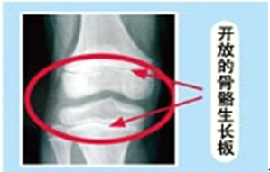 漯河谁是生长发育专家？