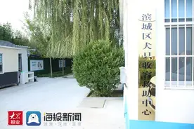 一只流浪狗的自述：我终于有了稳定的家图片