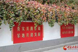 七里河：小巷深处秋意浓图片