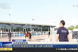 央视财经：马术运动受欢迎——培训价格逐渐亲民  买马养马费用高