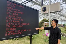 沭阳县供电公司：大棚电充“足”照亮致富路图片