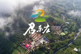 南召县城郊乡东庄村电商平台启动运营图片