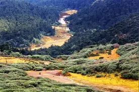 金秋十月 去螺髻山赏醉美秋景！图片