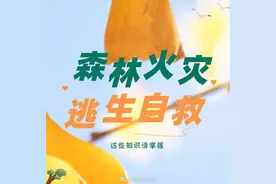 应急科普丨这些森林火灾逃生自救知识请掌握图片
