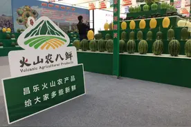 山东热榜｜全国首推火山农业品牌，山东这个县下的什么棋？图片