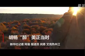 胡杨“醉”美正当时视频封面