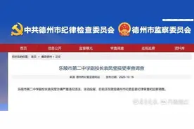 乐陵二中副校长袁凤莹主动投案！一个多月前另一校领导已被查图片