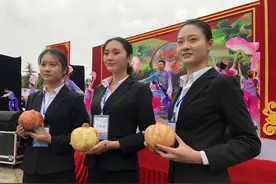 安徽蚌埠：两斤半的“石榴王”诞生啦图片