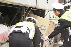 客车内发现野生动物，只因几次“举手之劳”，19岁女孩失去7年自由图片