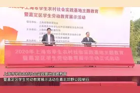 加强劳动教育，这50家区级学生劳动教育实践基地成立图片