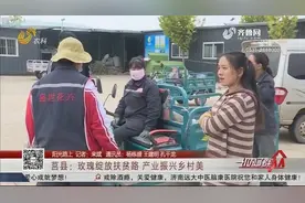 走花路！莒县依托特色产业，开发大棚玫瑰新品种，订单供不应求视频封面