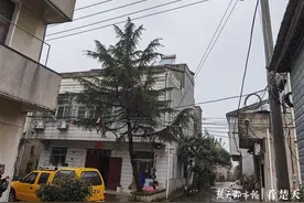 电缆“拦路虎”斜穿居民门前，黄陂供电立即整改除障碍图片