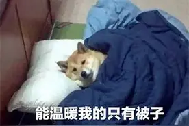 杭州已经有人穿上了羽绒服，接下来一周天气……图片