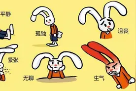 科学汇 | 情绪怎么产生的？当你处于喜怒哀乐时，大脑里都发生什么图片