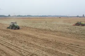 37秒丨德州市武城县：1800亩小麦秋种“黑科技”助力12天就能完成图片
