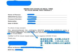 驻新加坡使馆：赴华航班旅客核酸检测证明流程指南图片