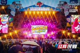 2020年草莓音乐节长沙首发 助力网红星城再“出圈”图片