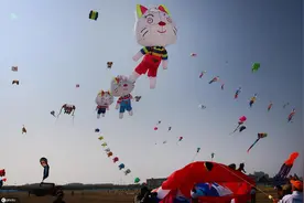 全国风筝邀请赛江苏如东开赛 32支代表队300多名选手空中竞技图片