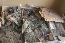 装修5年后发现床下被填满建筑垃圾 业主与装修公司双方各执一词图片