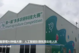 首届草莓AI种植大赛：人工智能队领先顶尖农人队视频封面
