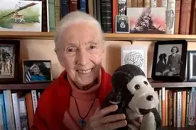 “如果野生黑猩猩不复存在，那将是人类的悲哀”，珍·古道尔在大河讲堂开讲图片