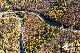 离石区首条彩色旅游公路惊艳亮相图片