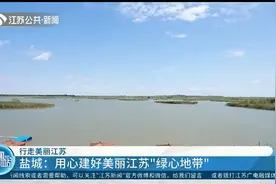 千里滩涂尽收眼底！盐城：用心建好美丽江苏“绿心地带”视频封面