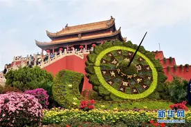 河南开封：古城菊香迎客来图片